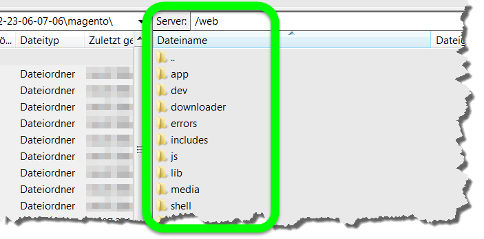 Magento Shop installieren